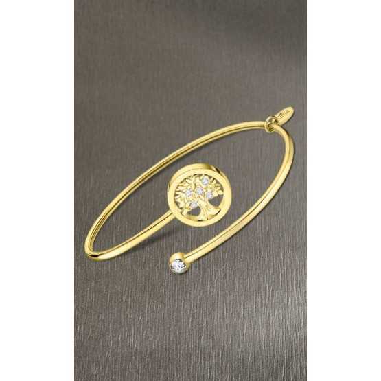 LS2169-2 Millennial rígida motivos