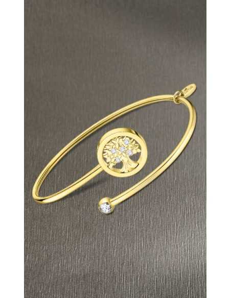 LS2169-2 Millennial rígida motivos