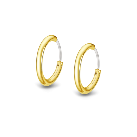 Lotus Style LS2241-4 Men´s Earrings Aro