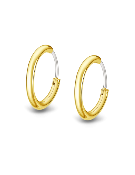 Lotus Style LS2241-4 Men´s Earrings Aro