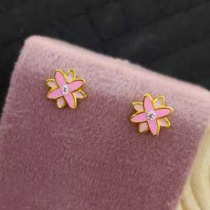 Flores rosas chapadas presión